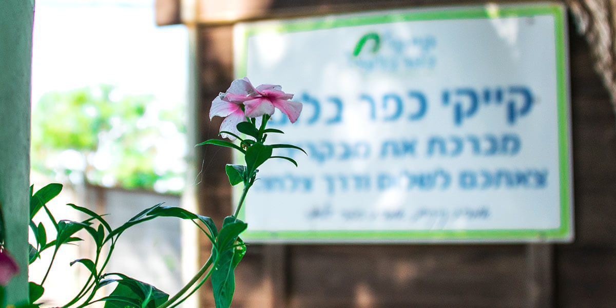 kayak-kfar-bloom-006